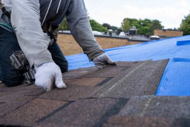 Professional Roofing Contractor in Patterson, CA